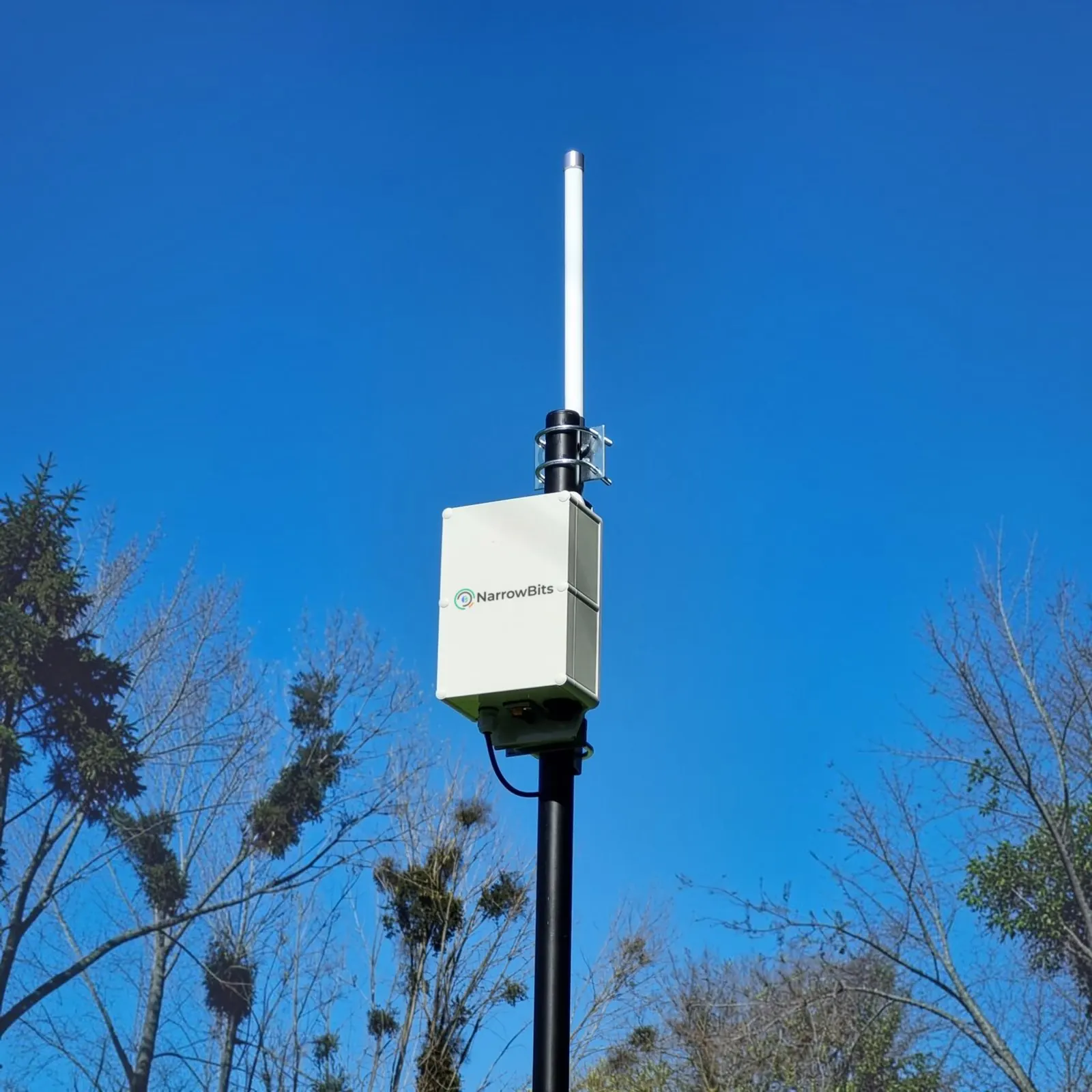 Gateway LoRaWAN Narrowbits en mástil